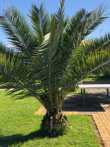 Villa Apsua