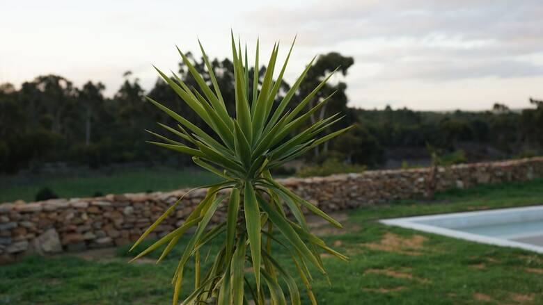 Bed & Breakfast Stellar Overberg Travellers Lodge
