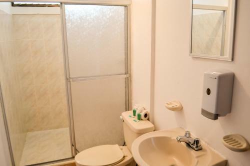Hotel Termales Del Bosque