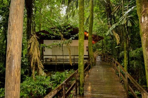 Hotel Termales Del Bosque