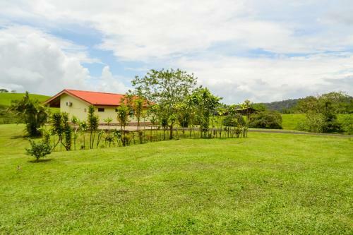 Hotel Termales Del Bosque