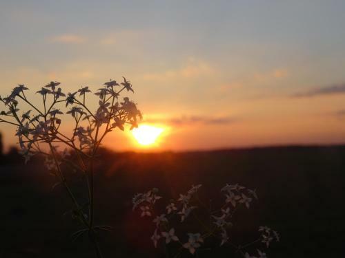 Bed & Breakfast Villa La Clef Des Champs