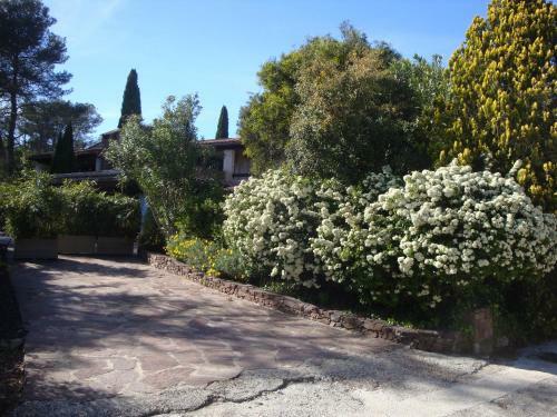 Bed & Breakfast Patio Bleu Chambre D'hotes