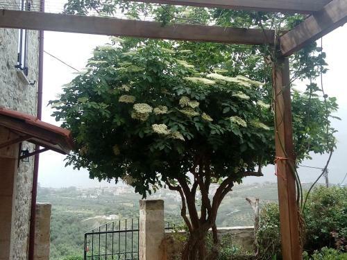 Apartamento Agioklima Traditional Cretan House