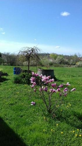 M�zesf�szer Apartman