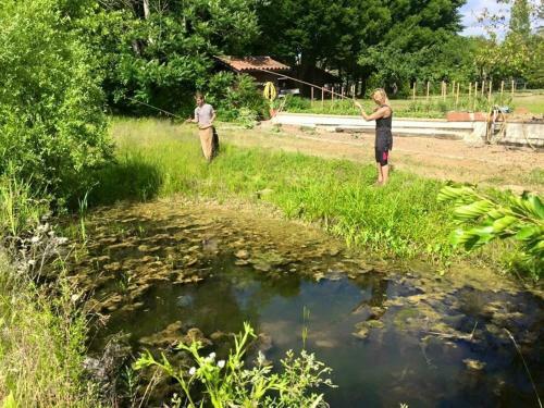 Bed & Breakfast Le Domaine de Charlyne