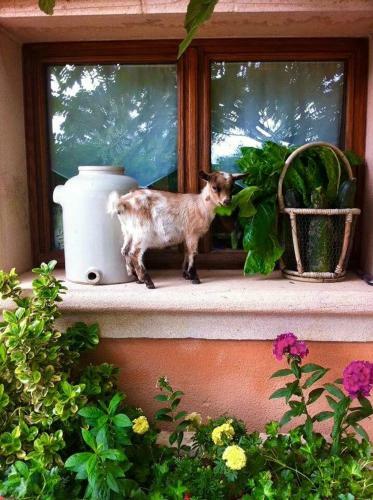 Bed & Breakfast Le Domaine de Charlyne