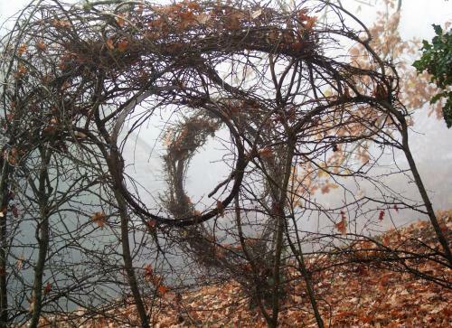 Bed & Breakfast Ch�teau de La Chasse-guerre