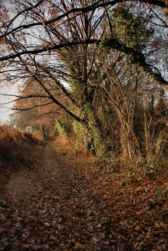 Bed & Breakfast Ch�teau de La Chasse-guerre