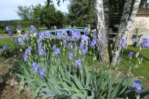 Bed & Breakfast La Cr�maill�re