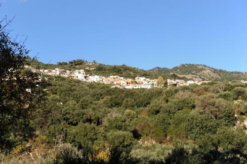 Apartamento Mala Villa