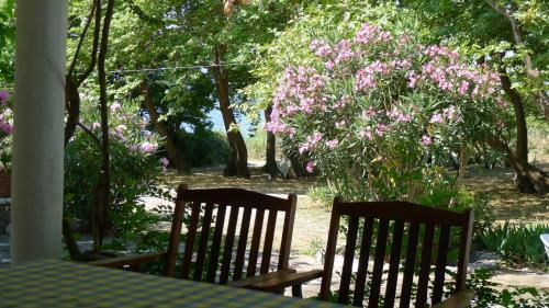 Villa Goitia