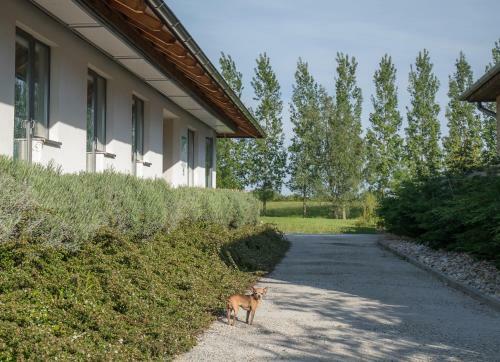 Hostal Villavamus