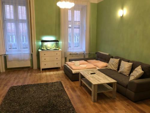 Chester Gozsdu Apartment