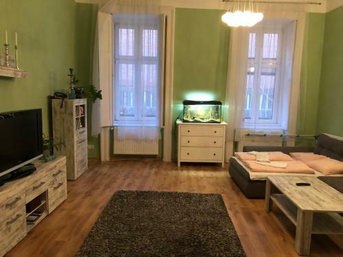 Chester Gozsdu Apartment