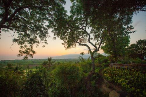 Villa Zen Resort Bali