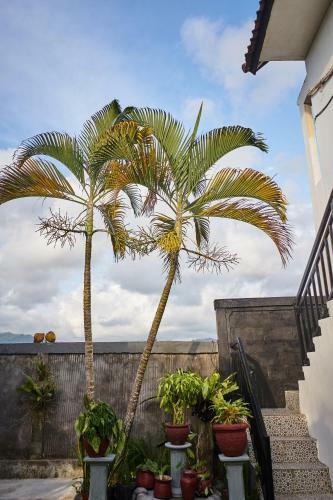 Hostal Padi Surf Villa Medewi