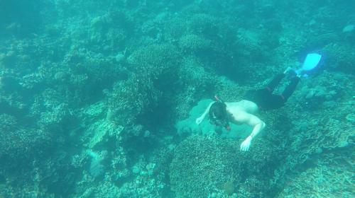 Hotel Honey Bay Resort Lembeh