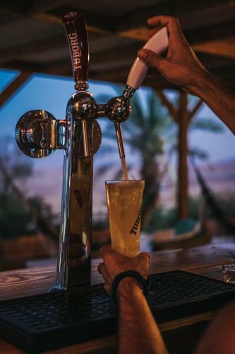 Albergue Ein Gedi Camp Lodge
