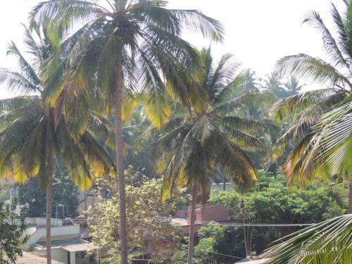 Apartamento Dandeli Home Stay