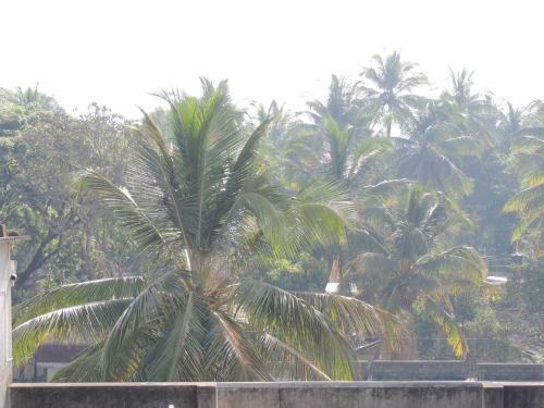 Apartamento Dandeli Home Stay