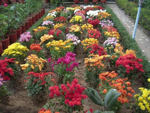 Hostal Rater Tara Diner Rabi Guest House