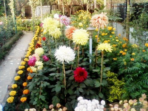 Hostal Rater Tara Diner Rabi Guest House