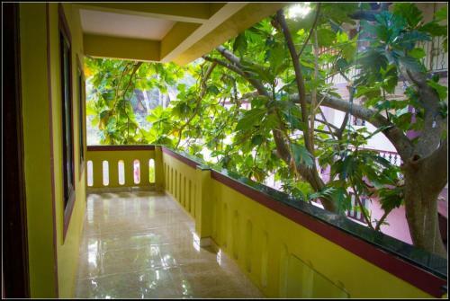 Hostal All Seasons Guest House