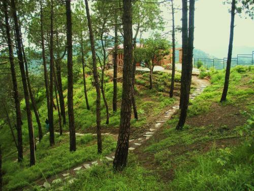 Hotel Aamod At Shoghi