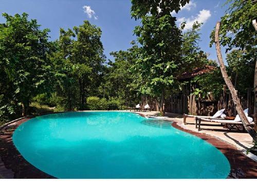 Reni Pani Jungle Lodge Satpura