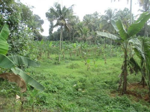 Agroturismo Vayal Farm Stay