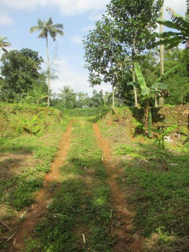 Agroturismo Vayal Farm Stay