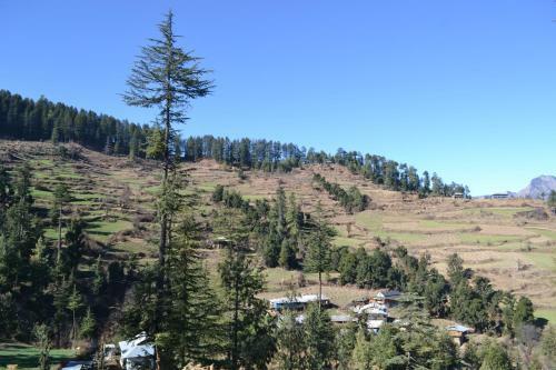 Mahadeva Camps Shangarh