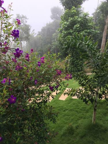 Agroturismo Harmony Farm Wayanad