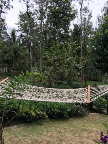Agroturismo Harmony Farm Wayanad