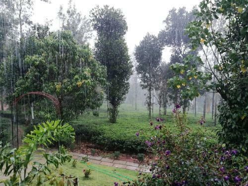 Agroturismo Harmony Farm Wayanad