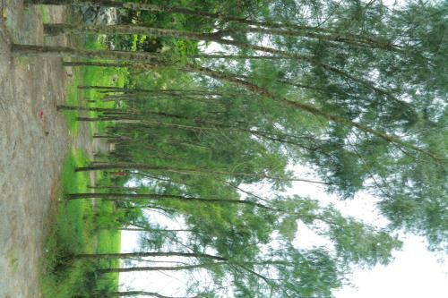 Kadaltheeram Home Stay Azheekal