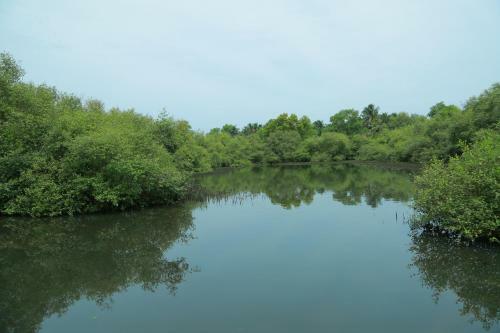 Kadaltheeram Home Stay Azheekal