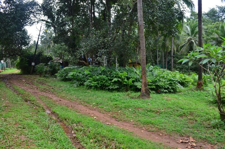 Hostal Mangaal Farmstay Goa
