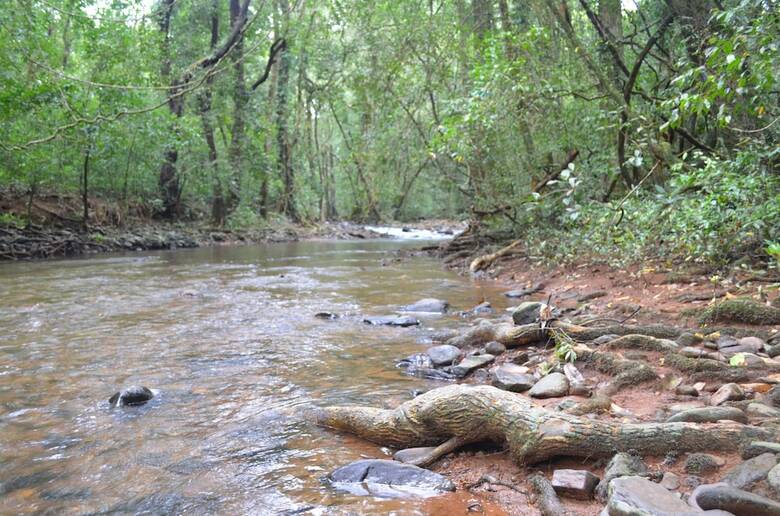 Hostal Mangaal Farmstay Goa