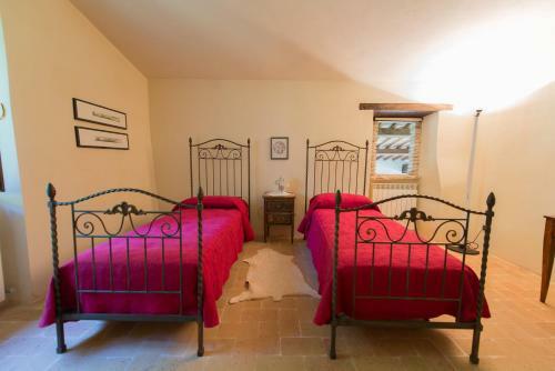La Casa Di Coccore