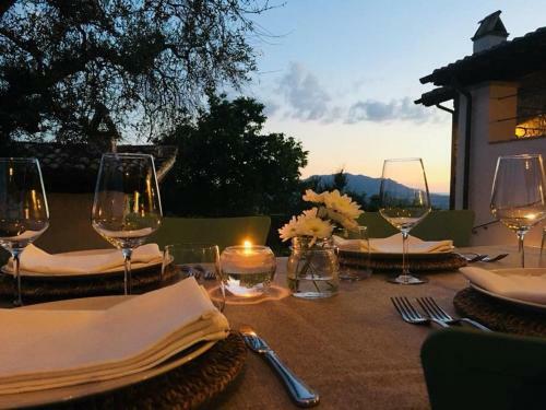 Agroturismo La Collina Degli Ulivi