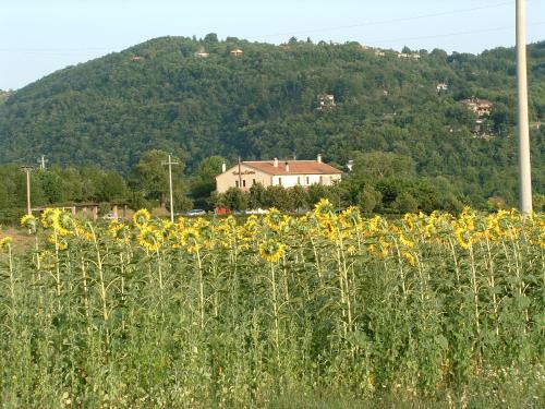 Agroturismo Vecchia Osteria