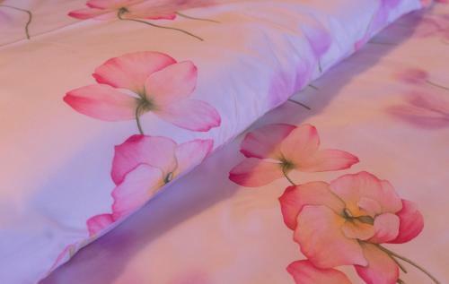 Hostal Agriturismo Fogolar Da Capo