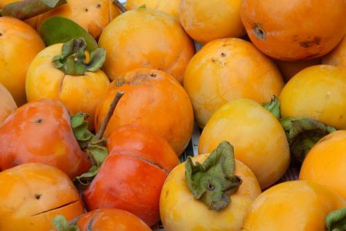 Hostal Agriturismo Fogolar Da Capo