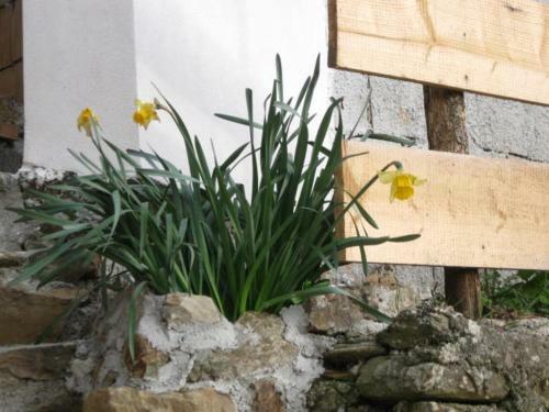 Bed & Breakfast Casale Villa Irina