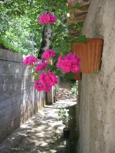 Bed & Breakfast Casale Villa Irina