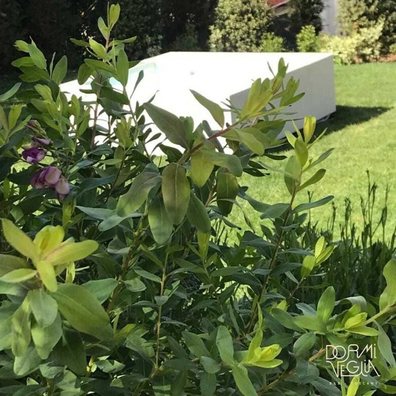 Dormiveglia B&B