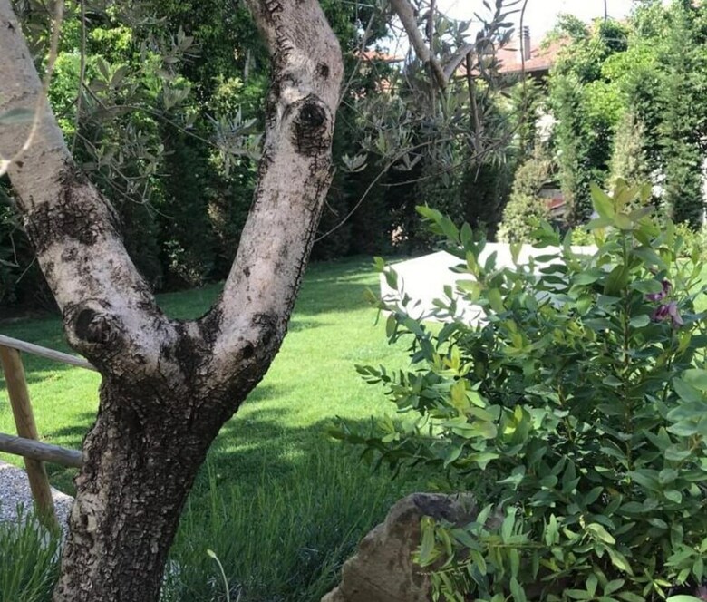 Dormiveglia B&B