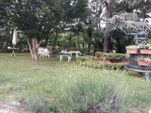Bed & Breakfast Gavi/alice Open Space